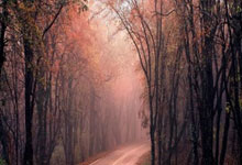 篮网战术突破研究曝光，或助球队逆袭成功