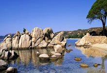 篮球名将詹姆斯刷新生涯里程碑，成为话题焦点